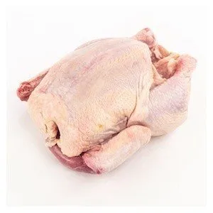 Poulet Pondeuse Fraiche